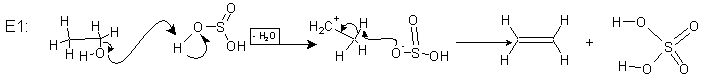 sn3.gif (2541 bytes)